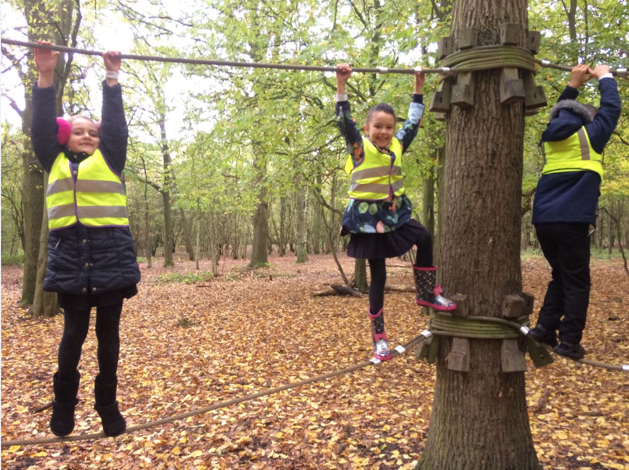 Hainault Forest - Year 2 Trip - Concordia Academy