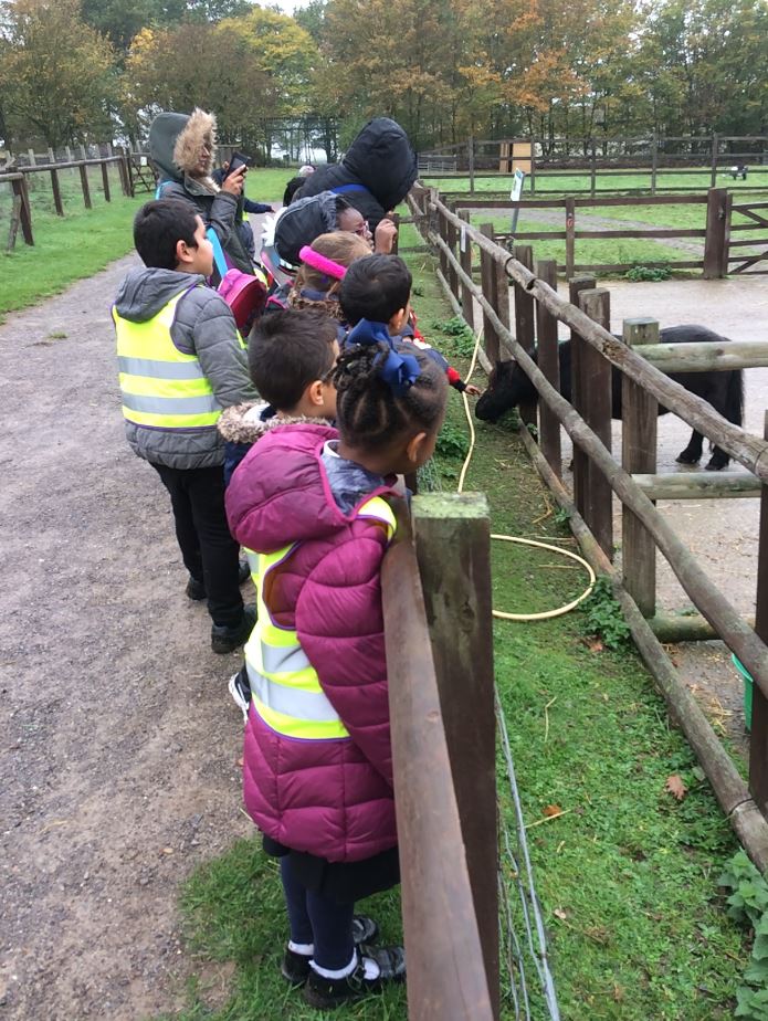 Hainault Forest – Year 2 Trip